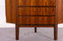 Danish Modern Rosewood Corner Cabinet - (326-211)