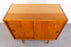 Teak Danish Cabinet - (326-224)