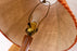 Mid Century Teak Double Stemmed Floor Lamp - (D1599)
