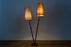 Mid Century Teak Double Stemmed Floor Lamp - (D1599)